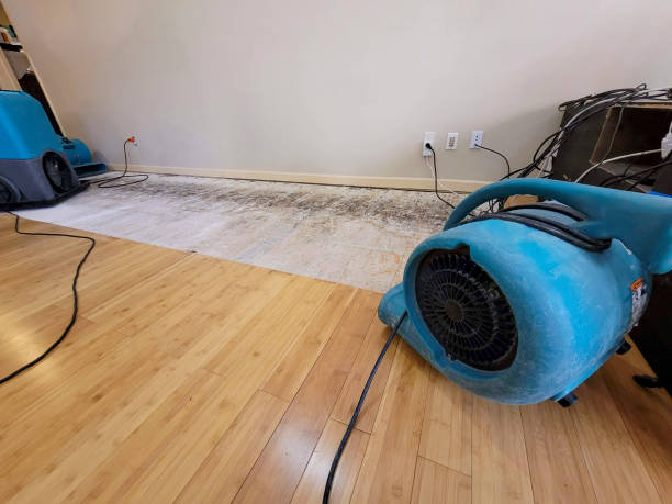 Professional Flood Damage Cleanup technician working in Trenton, MO